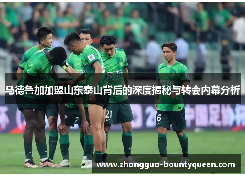 马德鲁加加盟山东泰山背后的深度揭秘与转会内幕分析